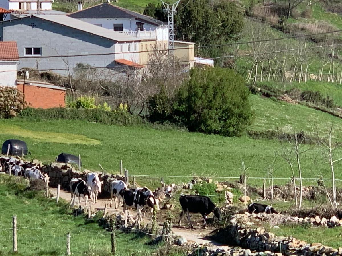 C'Genoveva Complejo Turistico Rural Caleacabo Villa Biescas  Exterior foto